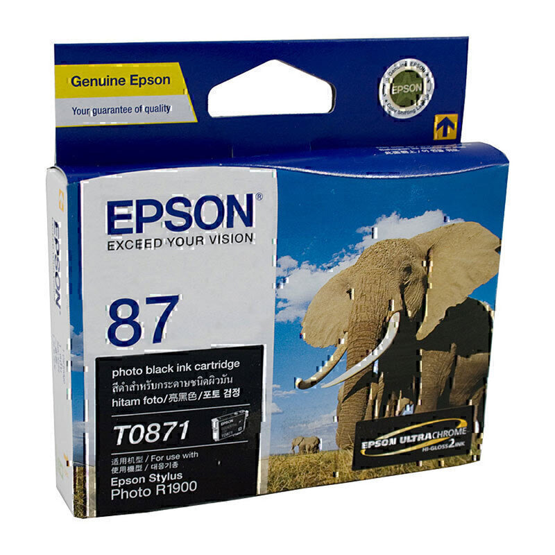 Epson T087 Ink Cartridge