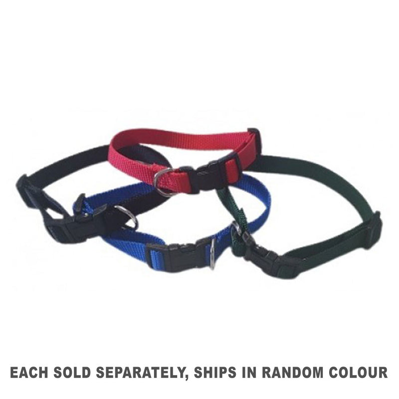 Nylon Adjustable Collar (1pc Random)