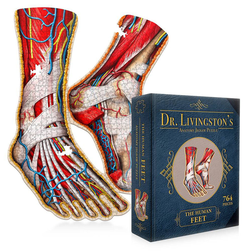 Dr. Livingston's Anatomy Jigsaw Puzzle