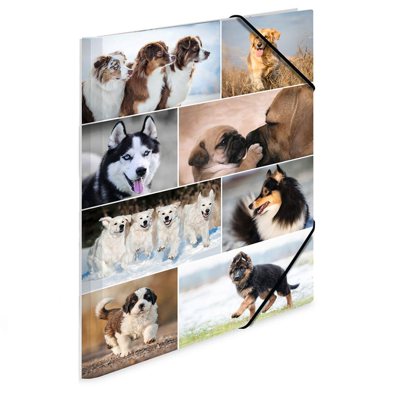 Herma Elasticated Cardboard Folder A3 Animals