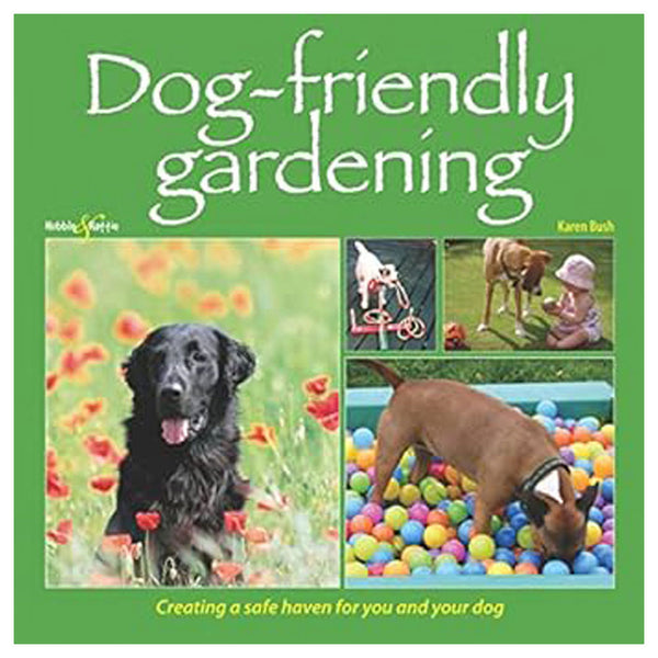 Dog-Friendly Gardening Creating Safe Haven for Your Dog