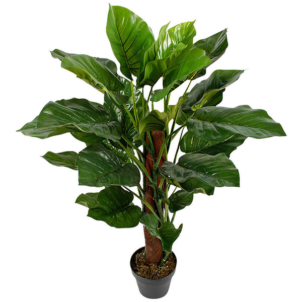 Pothos Plant in Pot 100cm